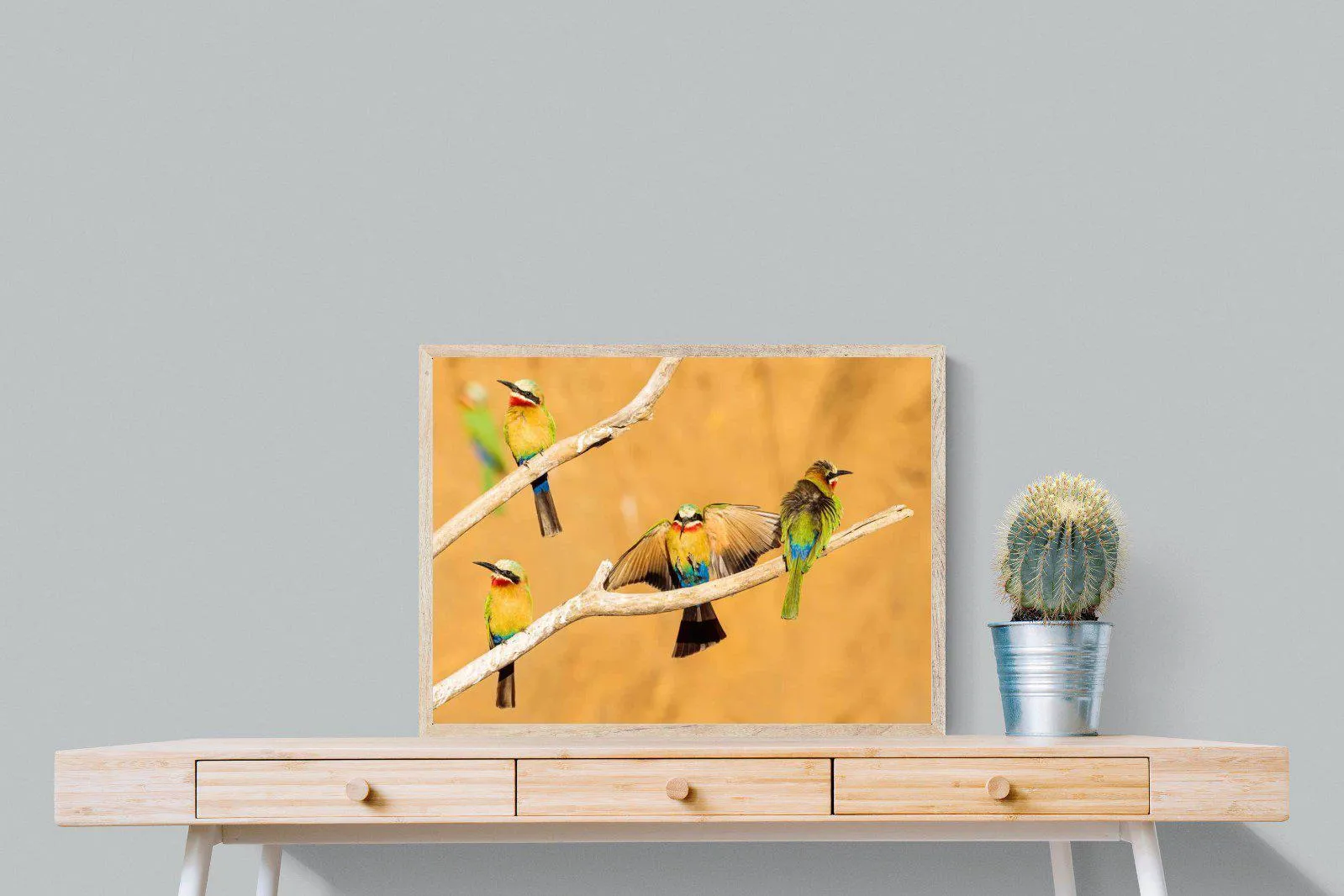 Feathered Friends