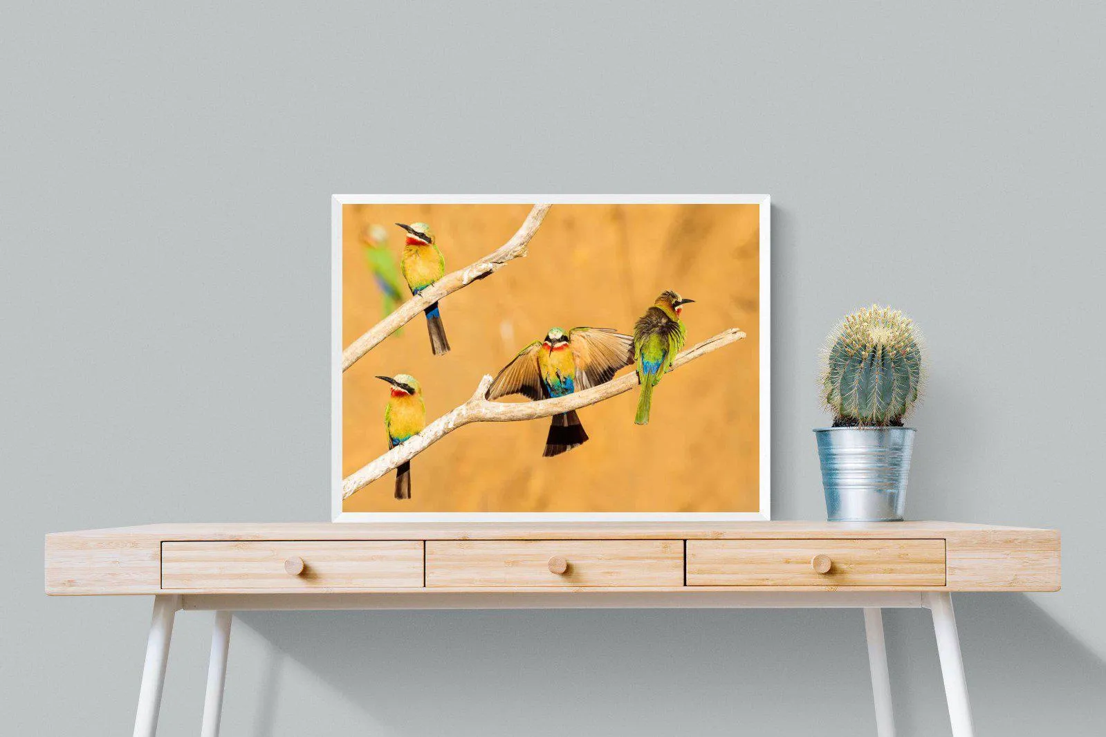 Feathered Friends