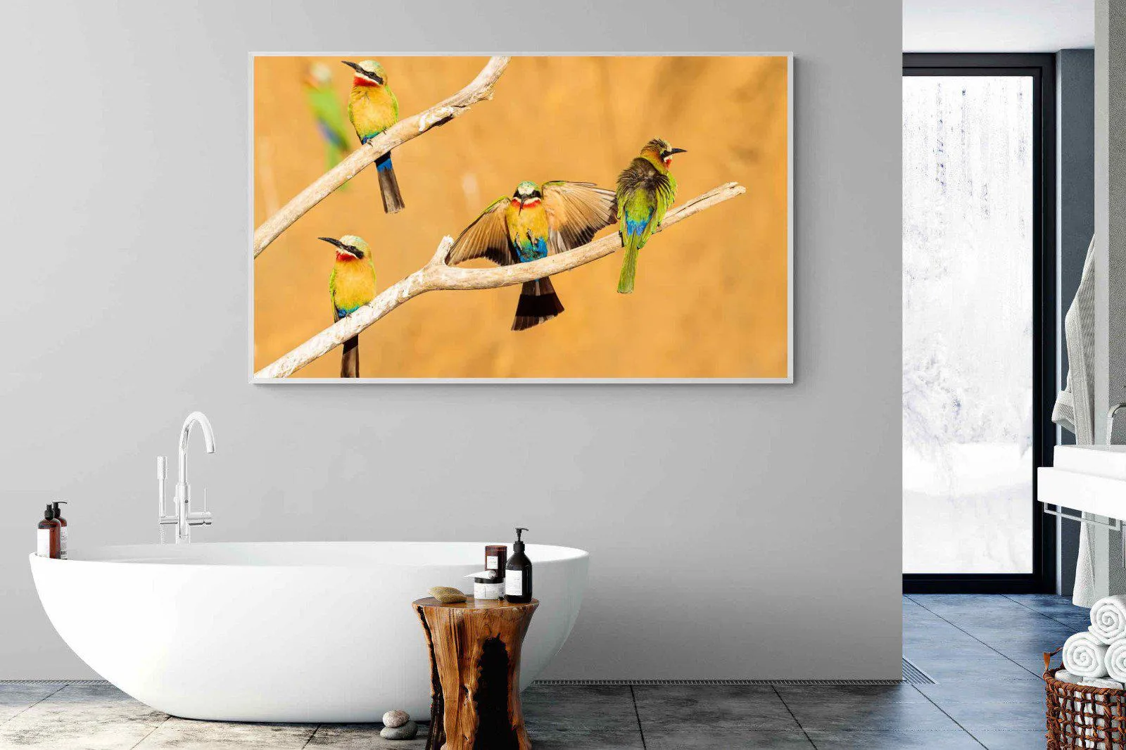 Feathered Friends