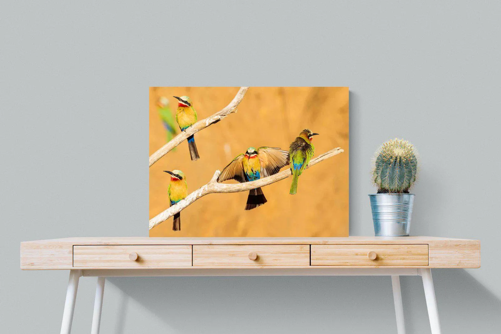 Feathered Friends