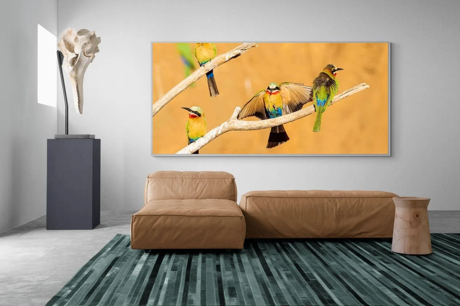 Feathered Friends