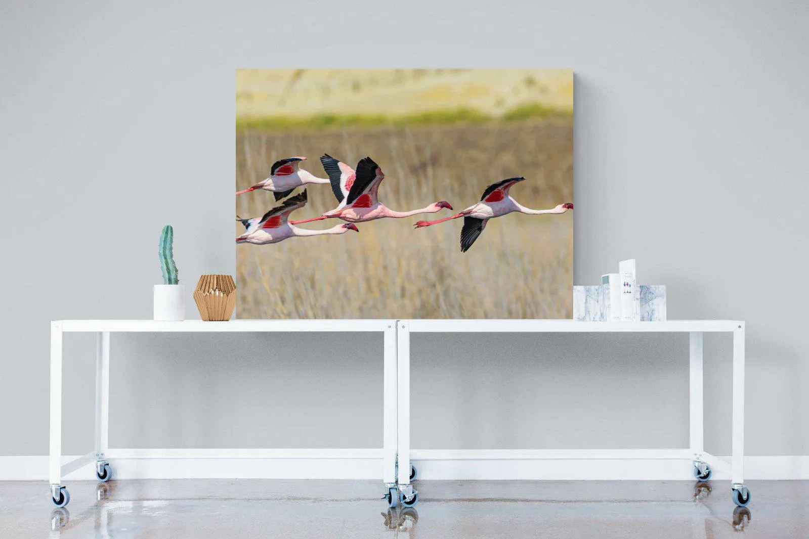 Flying Flamingos