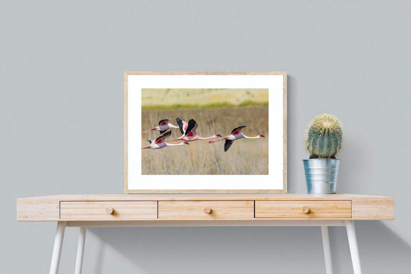 Flying Flamingos