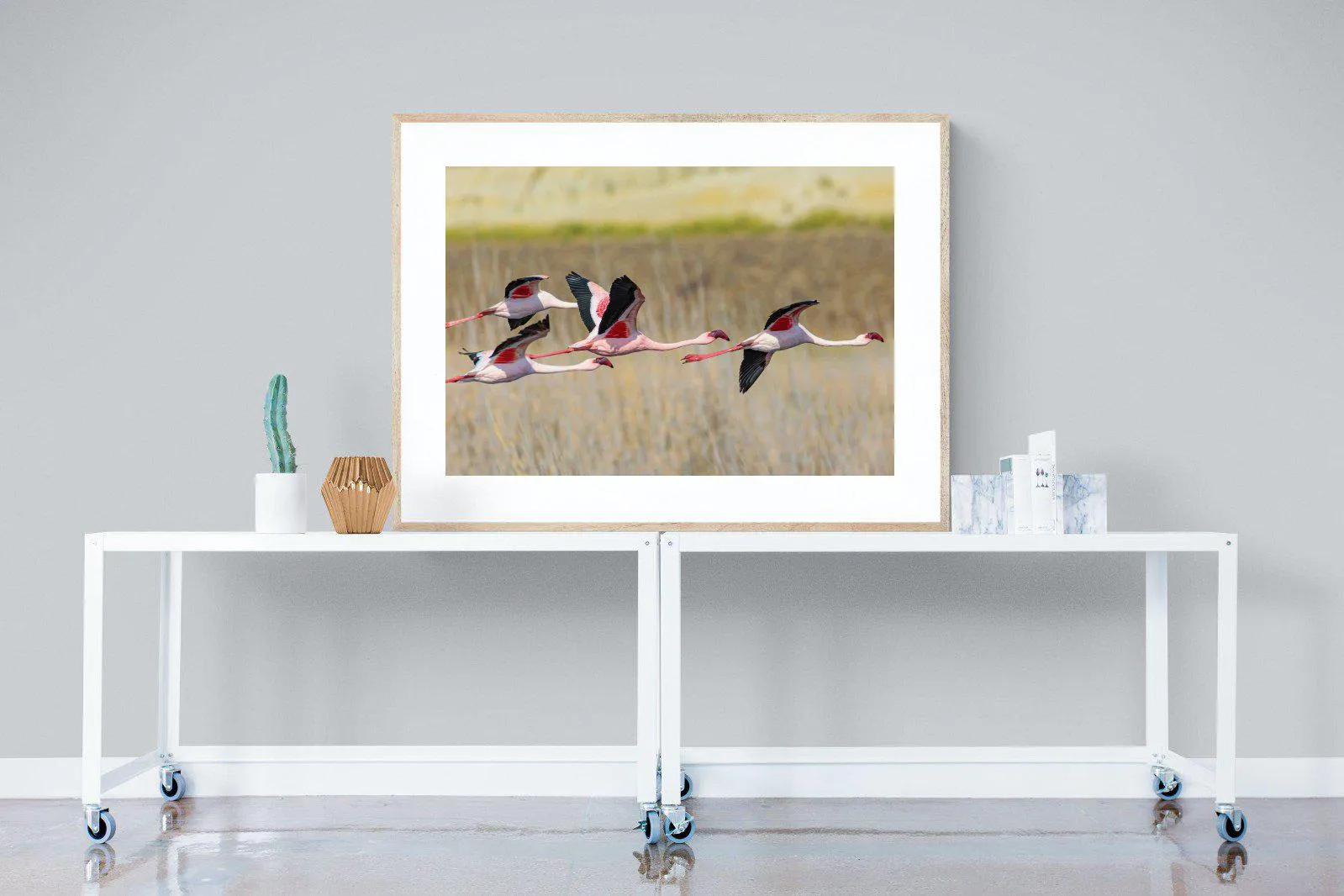 Flying Flamingos