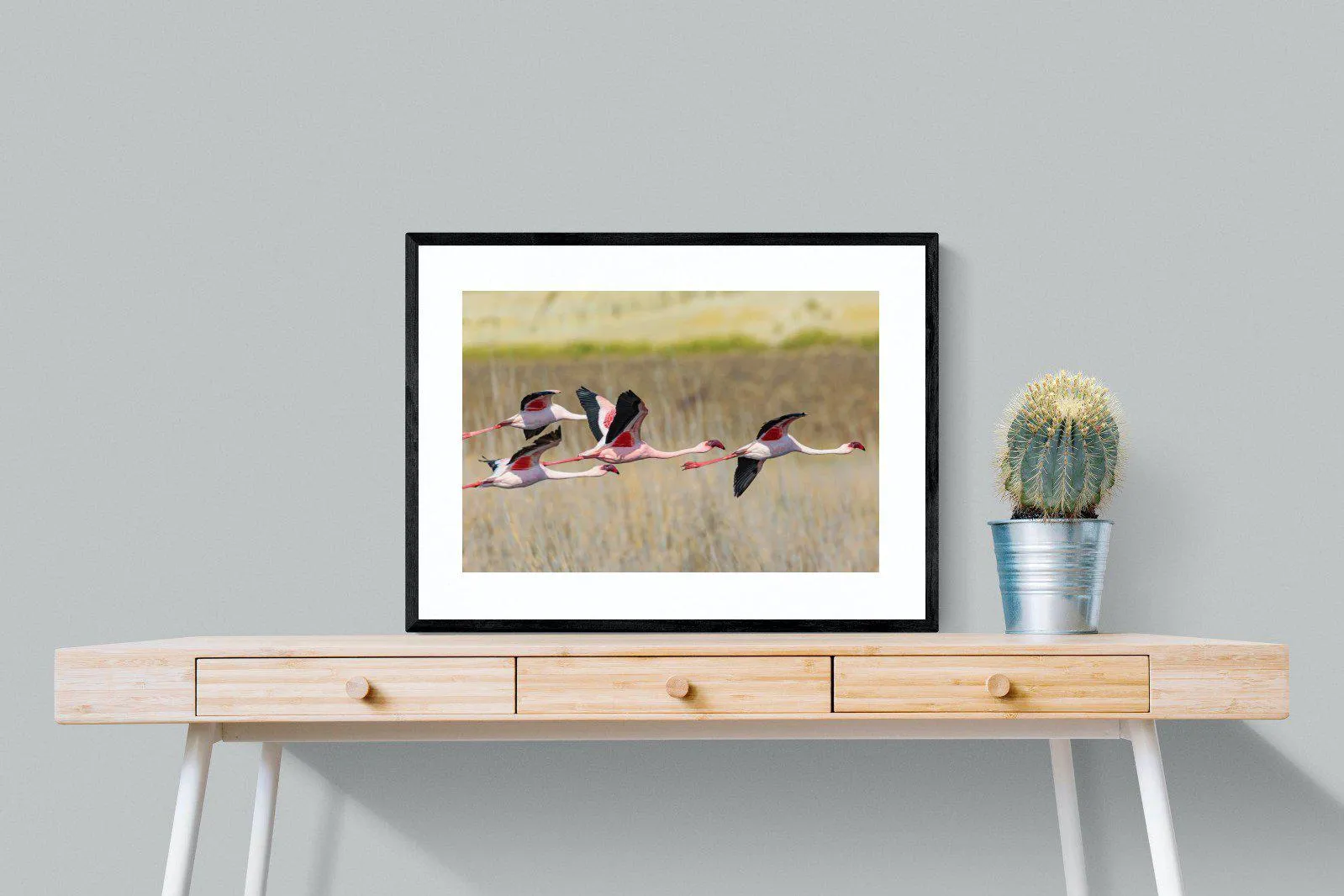 Flying Flamingos
