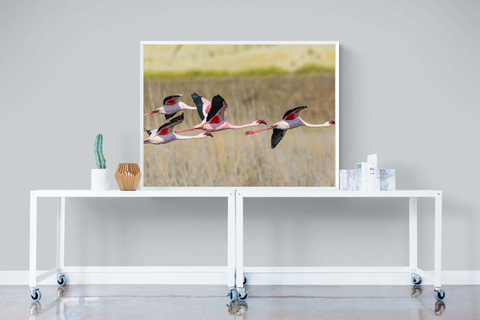 Flying Flamingos