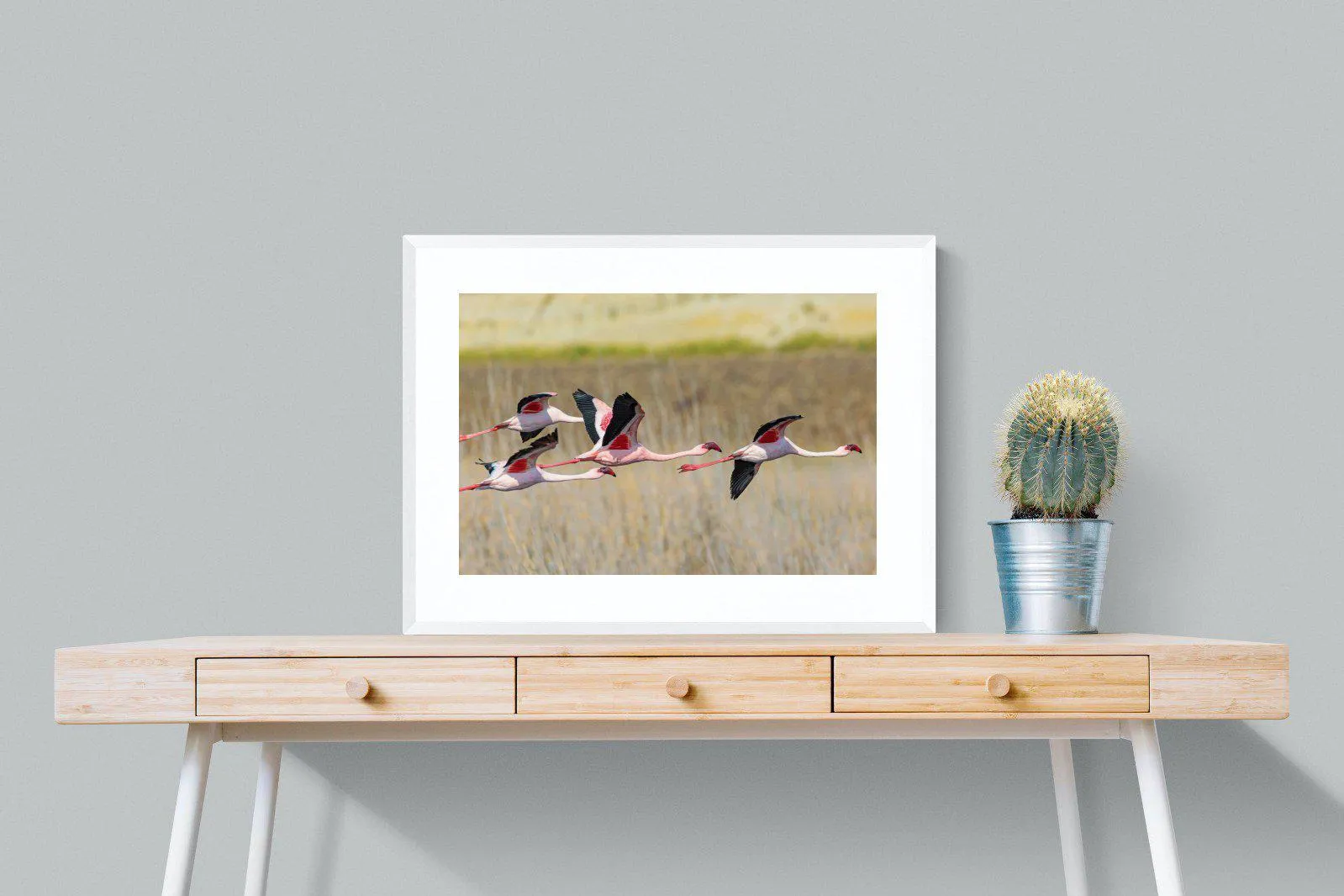 Flying Flamingos