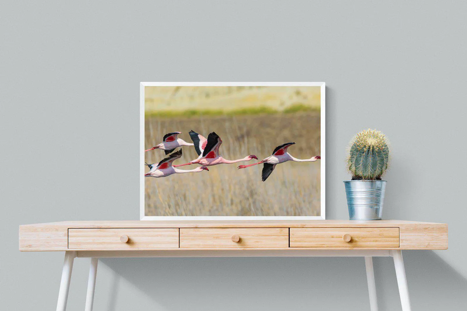 Flying Flamingos