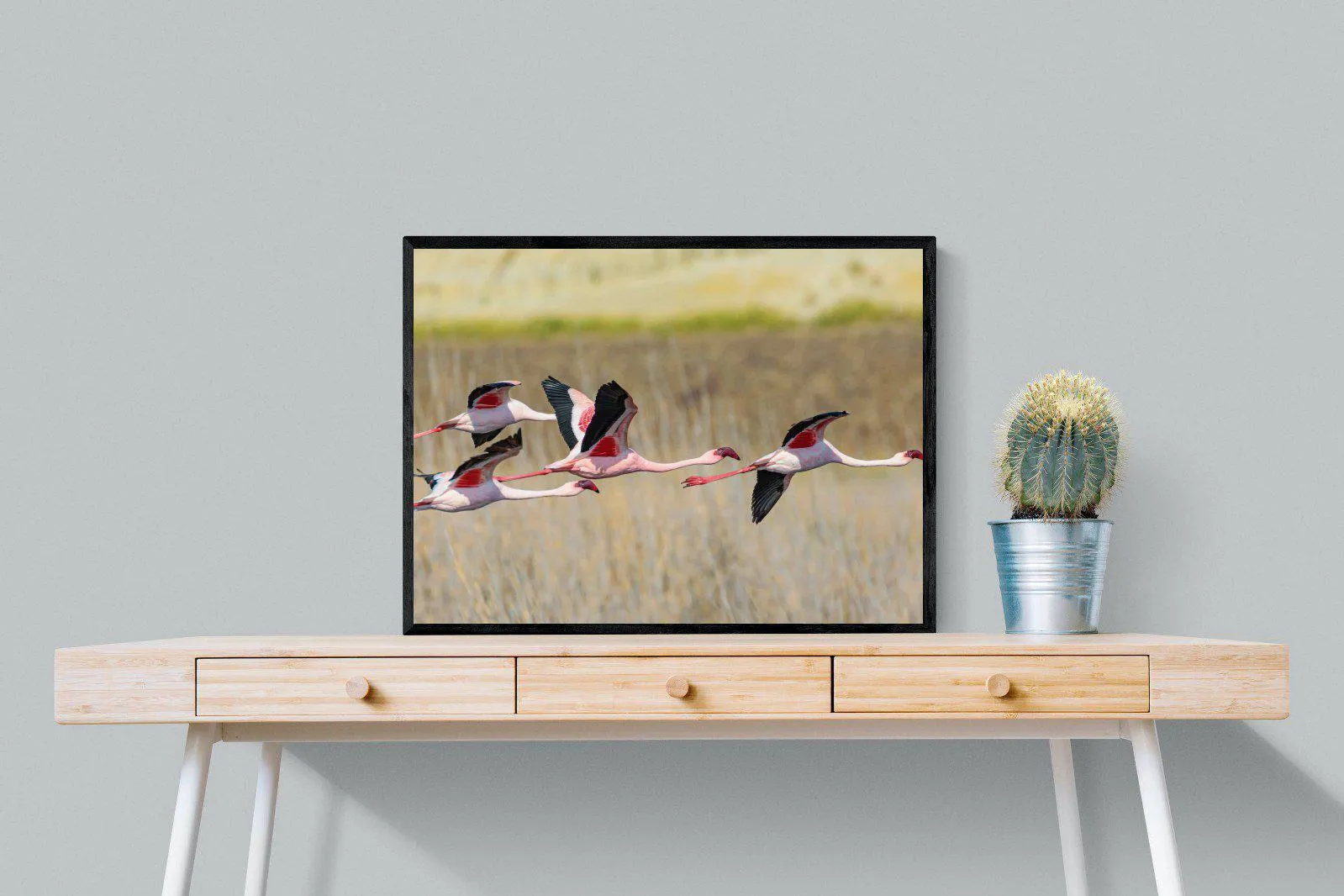 Flying Flamingos