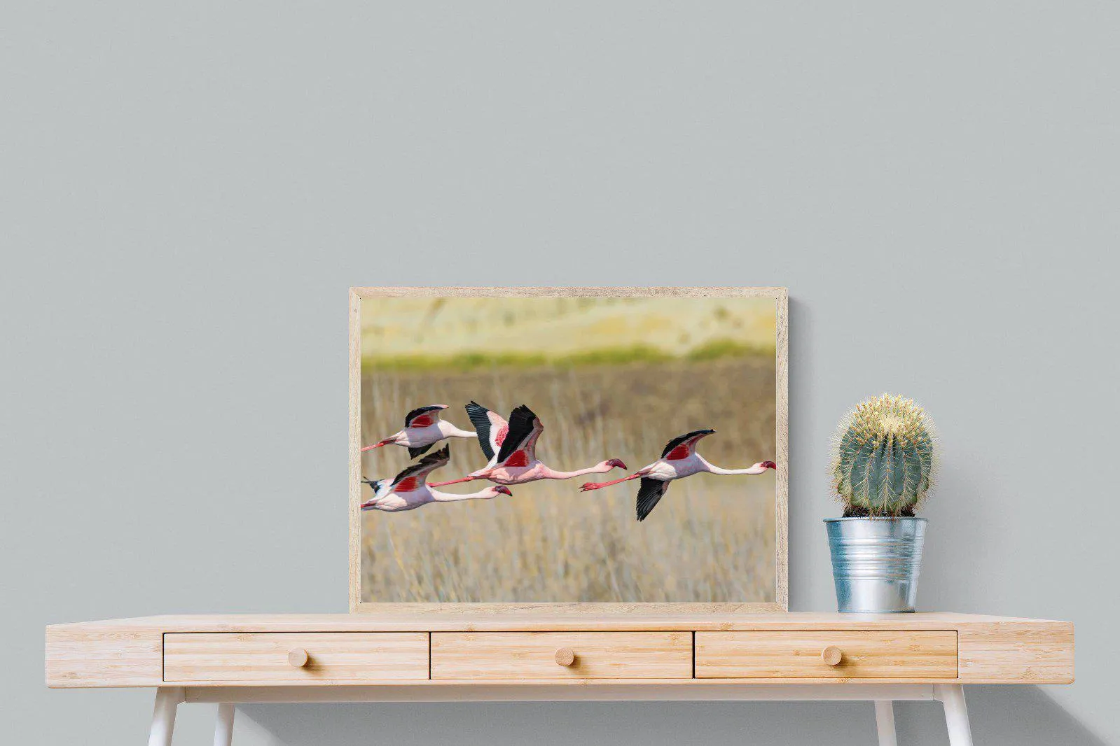 Flying Flamingos