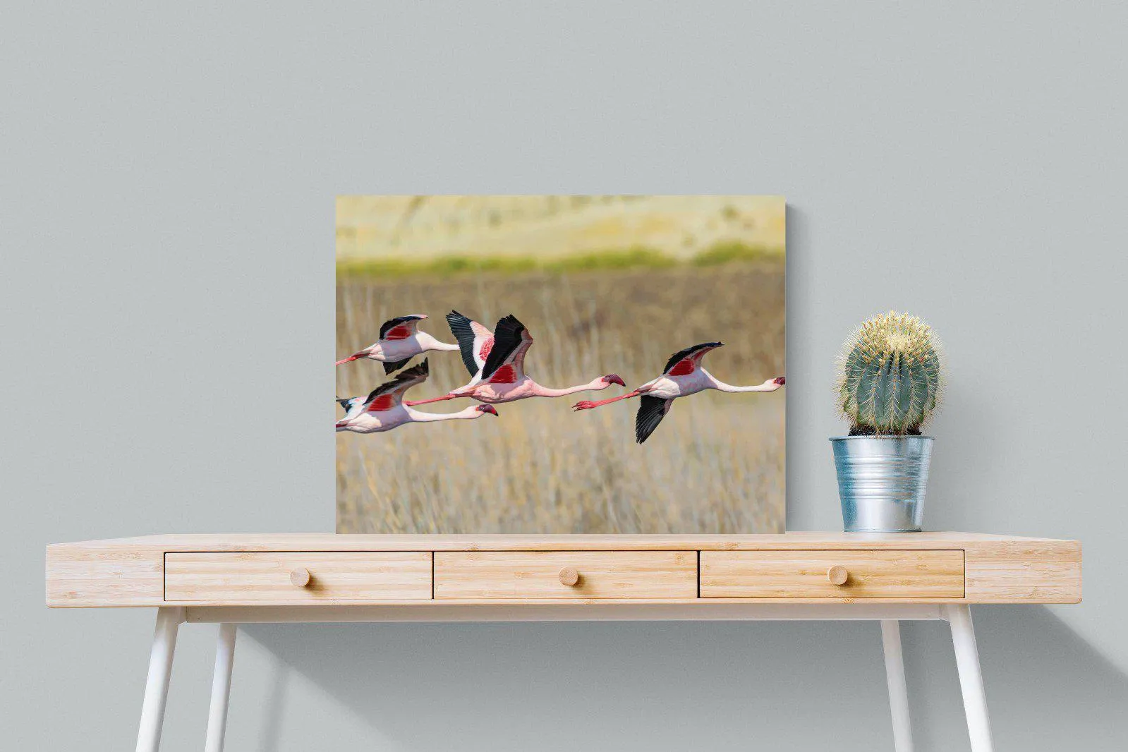 Flying Flamingos